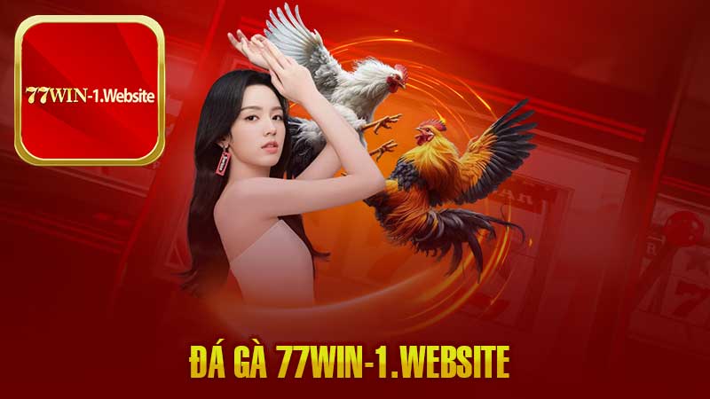 Khám Phá Đá Gà 77Win – Điểm Đến Lý Tưởng Của Mọi Nhà